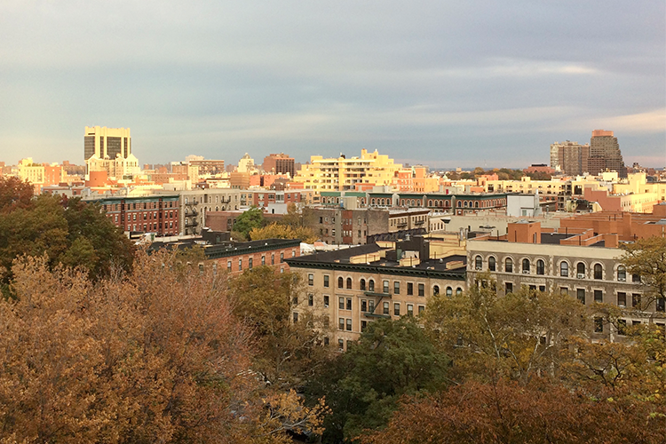 A Walking Tour of Harlem With Schomburg Center Chief of Staff, and