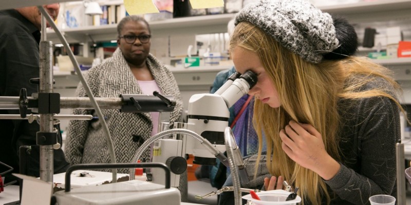 Young adult using microscope 