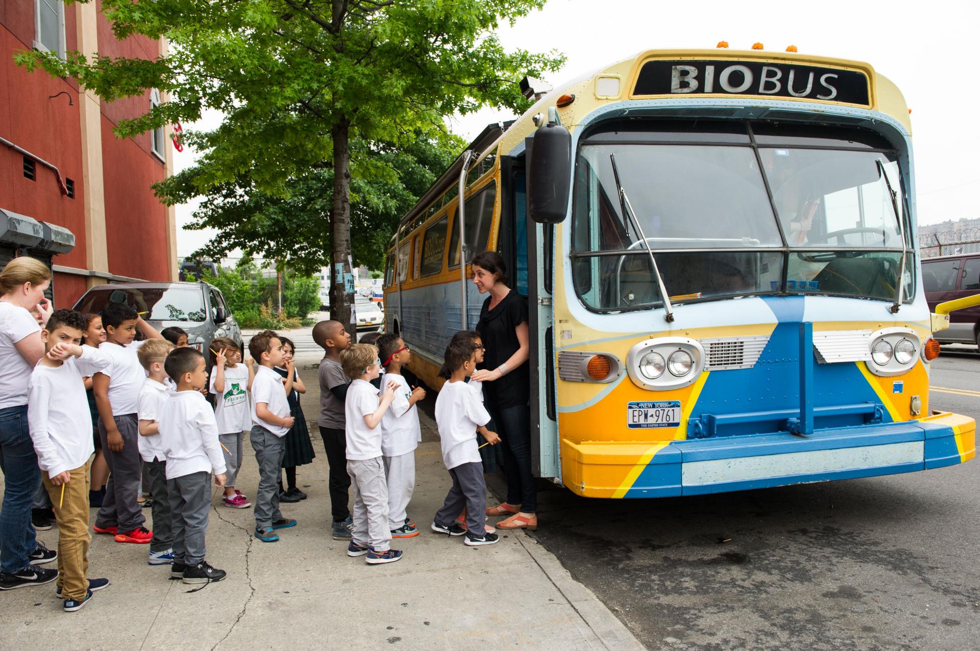 Photos of Kids Lining up to enter bus