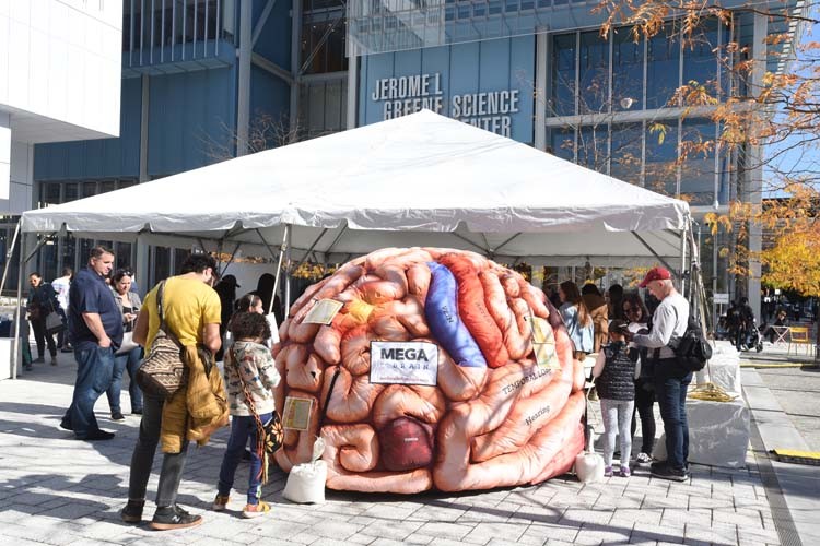 Children play in front of a large, blow-up brain. 
