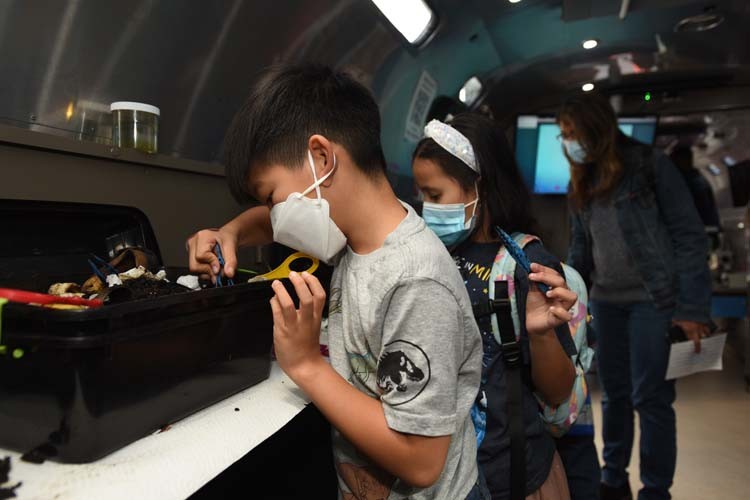 Activities inside the BioBus