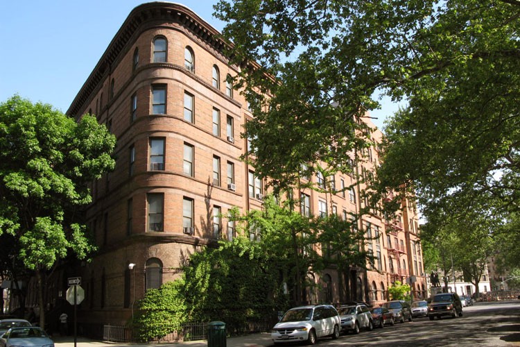 Trees on a block in Harlem