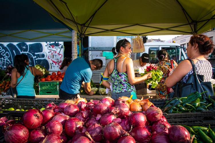 Photo credit: United States Department of Agriculture Farmers Market.
