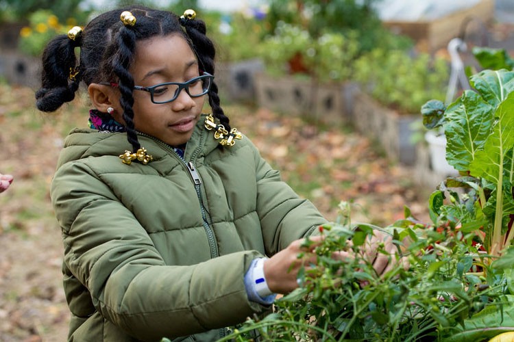 Child learning how to garden. 