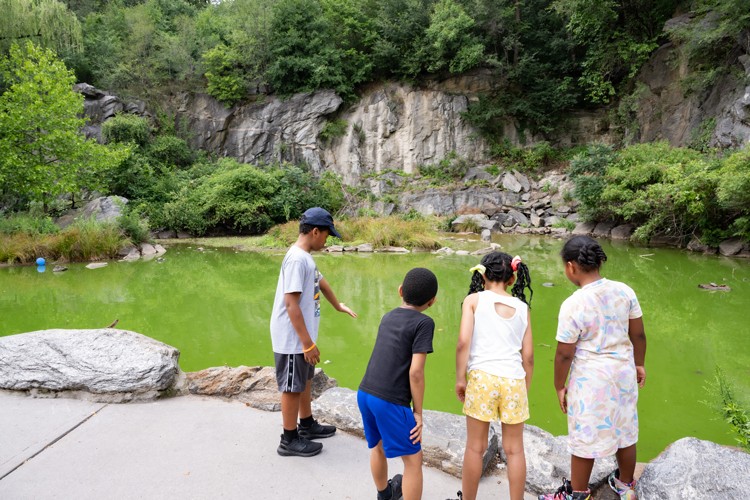 The study aims to curb toxic summer algae and return the pond to its natural state for park-goers, children, and pets in the community to enjoy. Photo credit: Diane Bondareff Group of kids observing the algae at Morningside Park Pond.