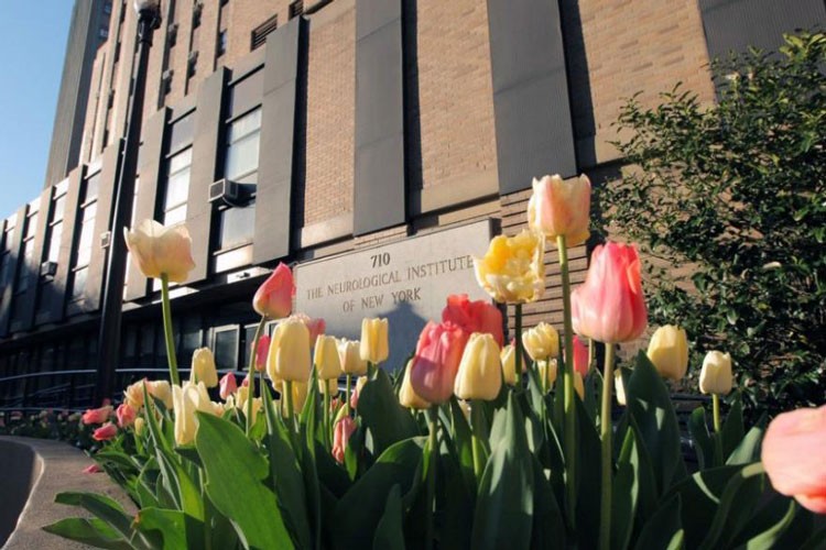 Columbia University's Neurological Institute building with blooming tulips in the foreground. 
