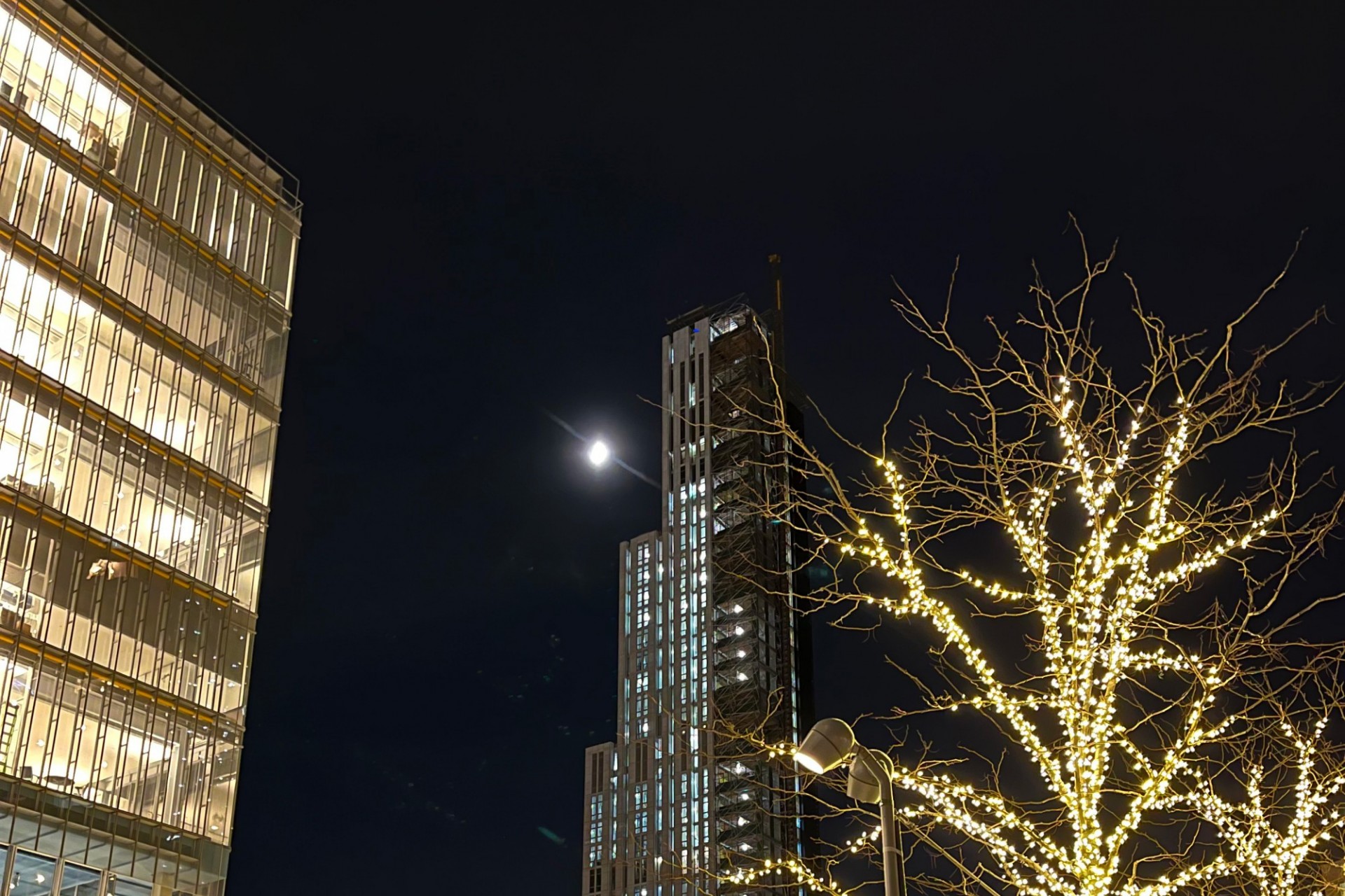 A view of 600 W. 125th Street during nighttime, with illuminated trees and Jerome L. Greene Science Center in the foreground.