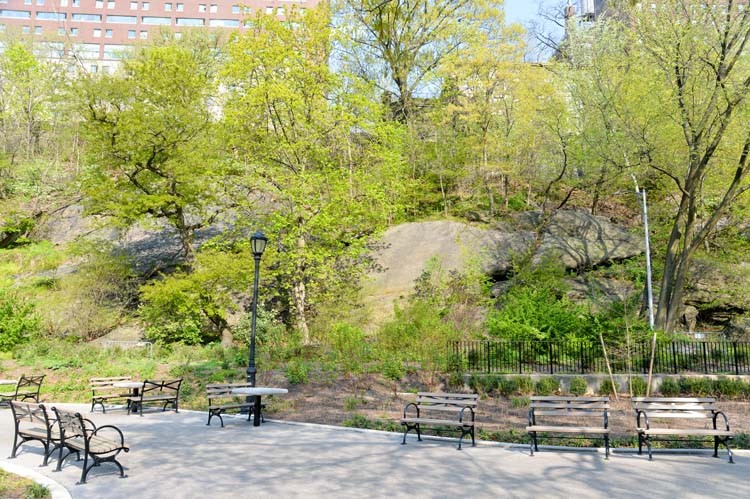 Photo of new park benches with trees in background.