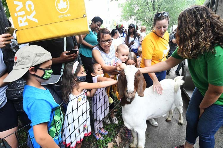 Photo of adults and children petting goat