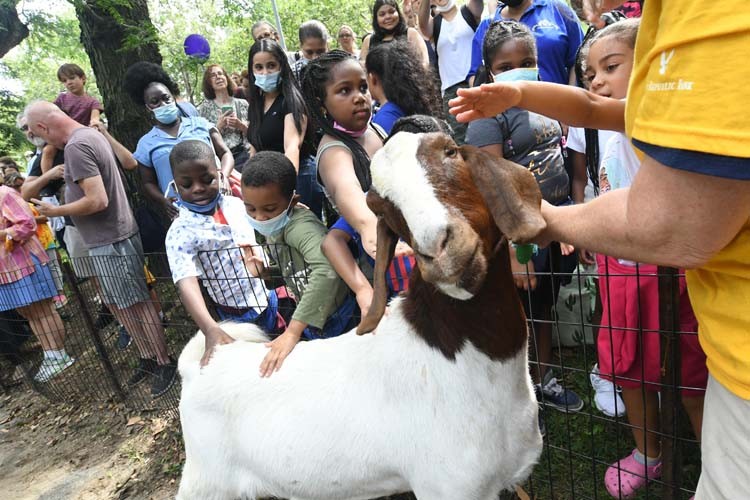 Children petting a goat