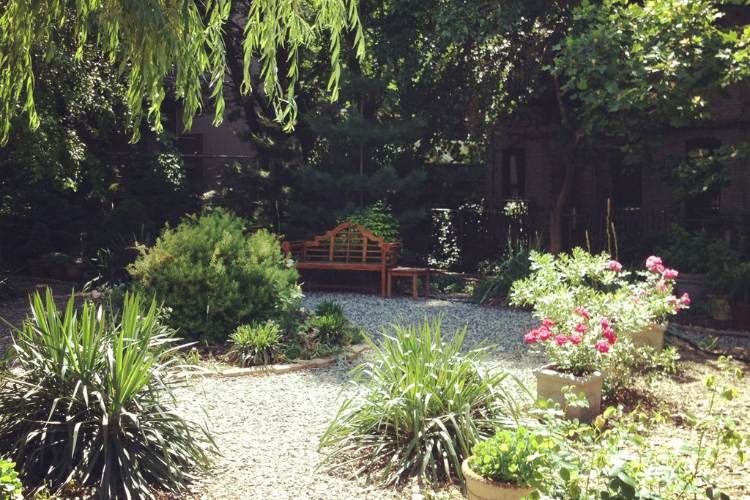 Harlem Rose Garden in East Harlem. Photo credit: Harlem Rose Garden