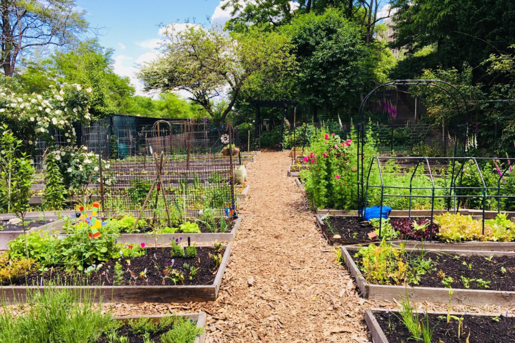 Riverside Valley Community Garden—Jenny’s Garden in West Harlem. Photo credit: Riverside Park Conservancy Riverside Valley Community Garden—Jenny’s Garden in West Harlem. Photo credit: Riverside Park Conservancy