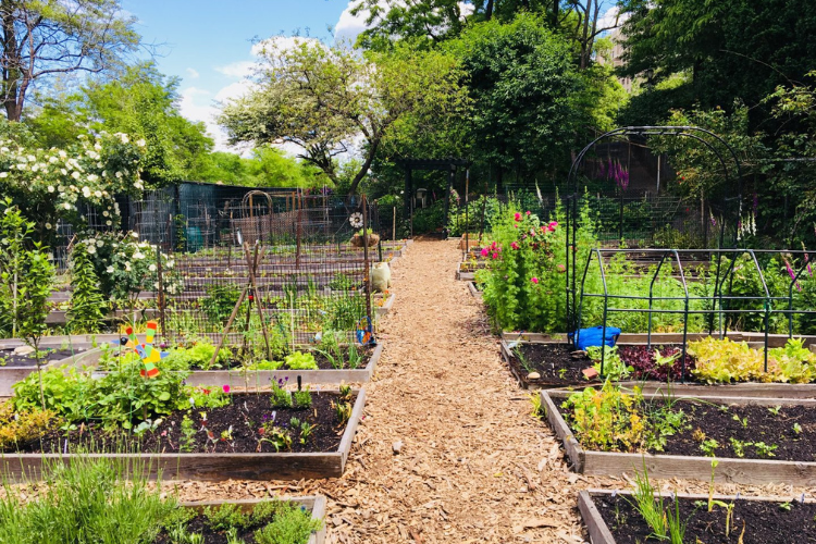  Riverside Valley Community Garden—Jenny’s Garden in West Harlem. Photo credit: Riverside Park Conservancy