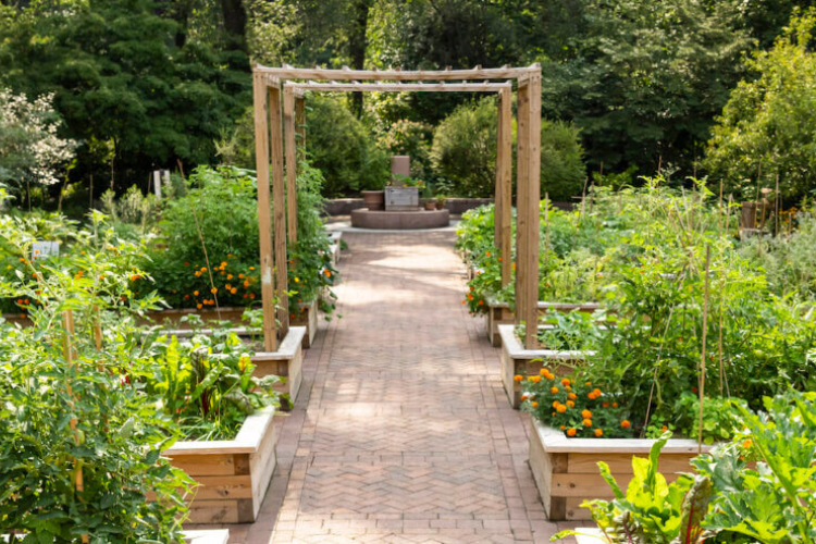 Riley-Levin Children's Garden in Inwood. Photo credit: New York Restoration Project Riley-Levin Children's Garden in Inwood. Photo credit: New York Restoration Project