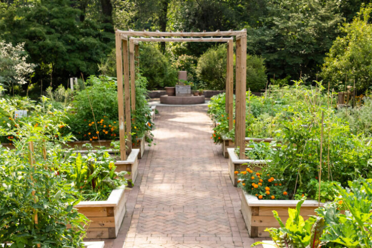 Riley-Levin Children's Garden in Inwood. Photo credit: New York Restoration Project