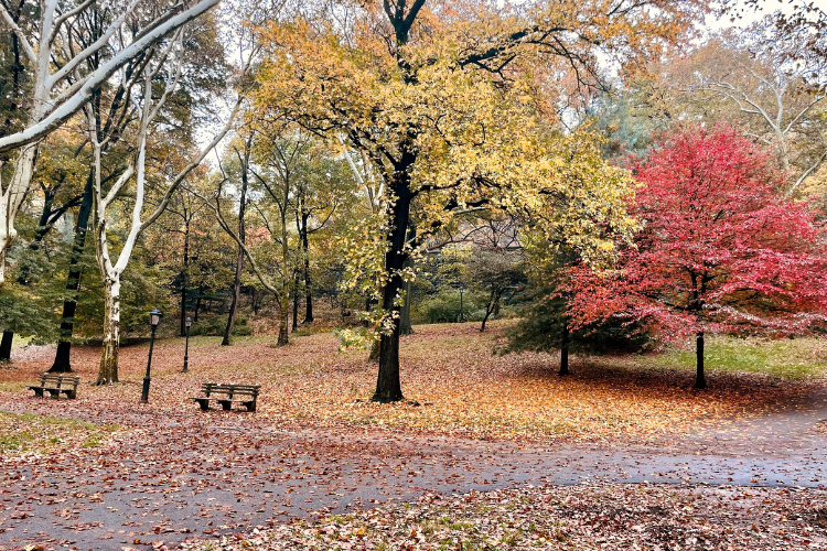 Riverside Park Riverside Park