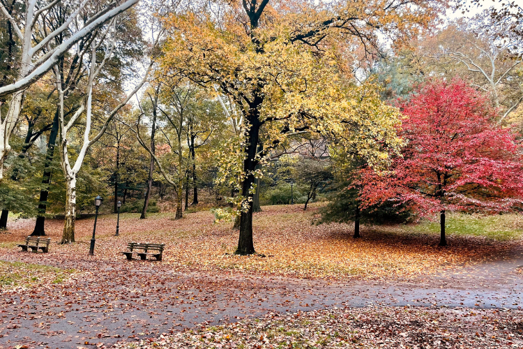 Riverside Park