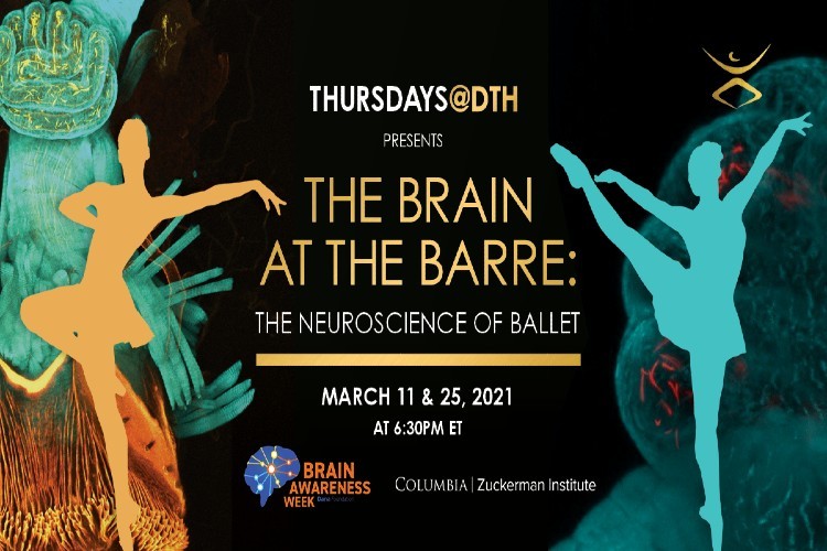 The Brain at the Barre Flyer 