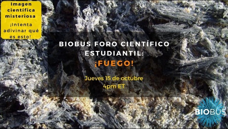 bio bus forest fires background. words in Spanish 