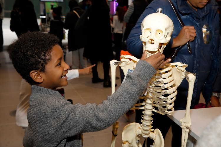 child touching skeleton