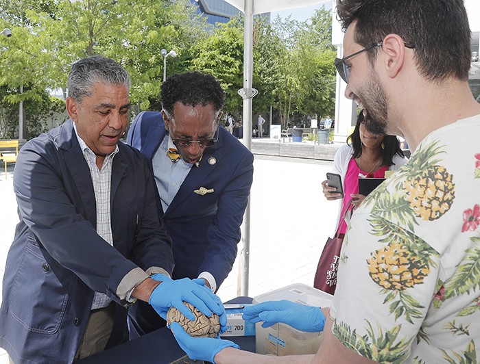 Representative Adriano Espaillat and Assemblyman Al Taylor touch a brain.