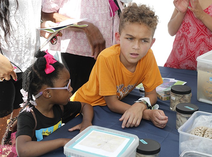 A child looks skeptically at a brain