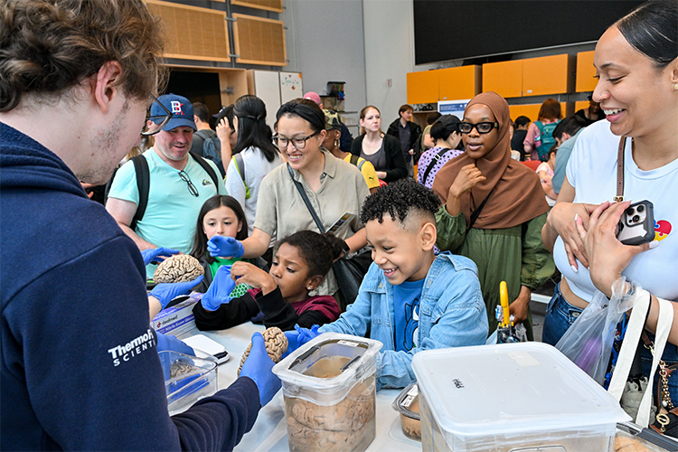 Saturday Science attendees learn about brains