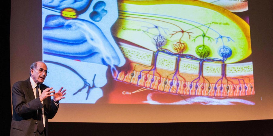An older man, Richard Axel, MD, Nobel laureate and Zuckerman Institute codirector, stands in front of a slide showing some of his research on the brain.