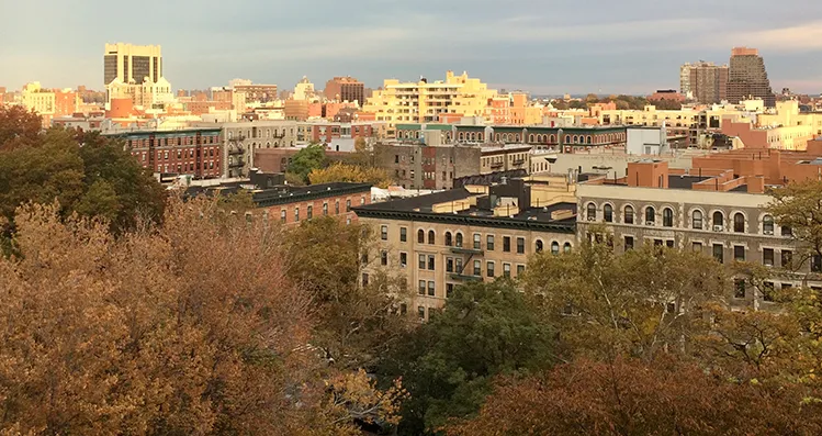 Harlem rooftops from Morningside Park. 
