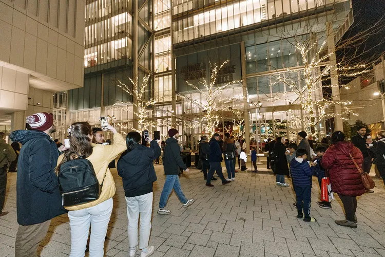 Community members gather at The Plaza in Columbia's Manhattanville campus to see trees covered in holiday lights for the winter season.