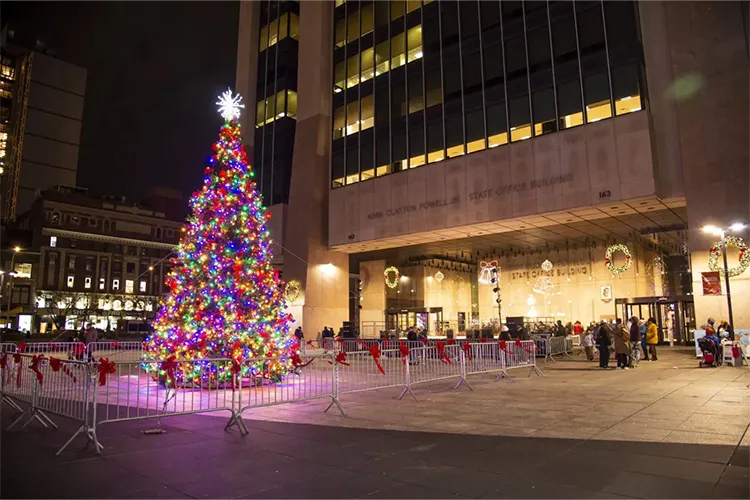 Christmas tree outside of building on 125th Street in Harlem.
