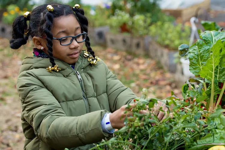 Young girl in Harlem Grown's garden. 