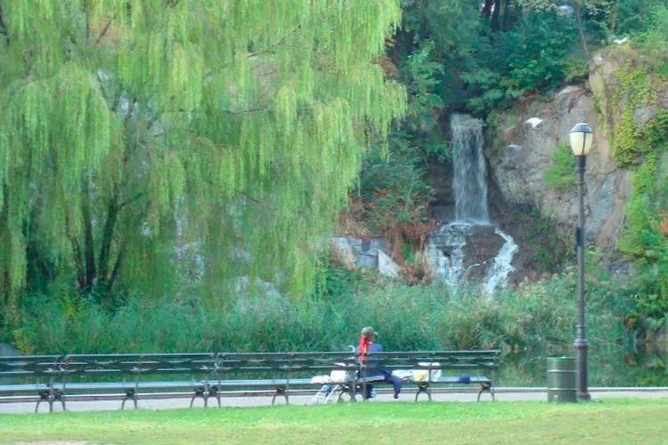 Woman sitting on a bench in front of the Morningside Park Pond.