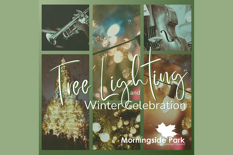 tree lighting