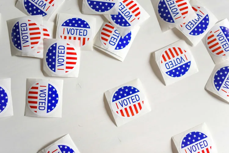 Voting graphic. 
