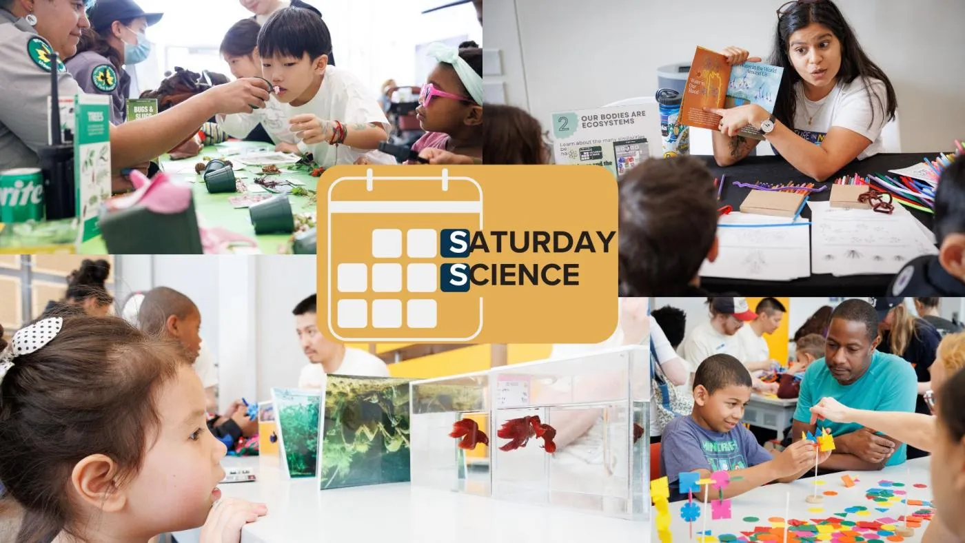 Saturday Science