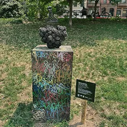 "Afro Puff"