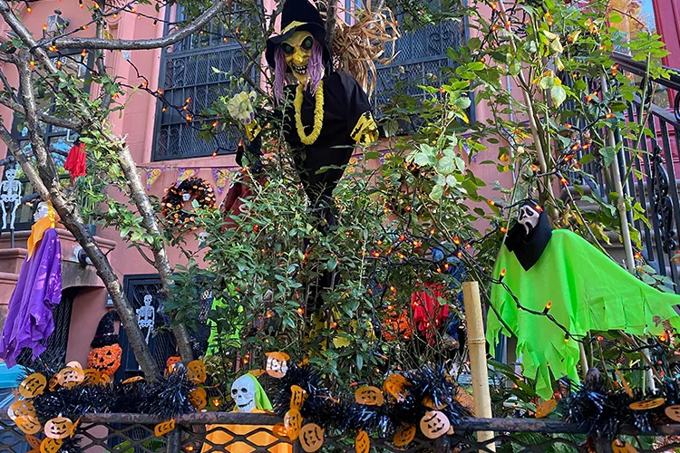 A variety of Halloween decorations in Harlem, from witches to spider webs, and pumpkin decorations.
