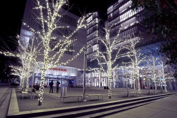 Trees with their trucks and leaves covered in white lights in front of Columbia's Lenfest School of the Arts building.