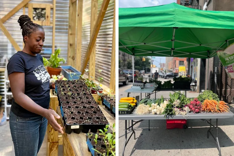 Pictured left: Judi Desire at the Saint Nicholas Miracle Garden. Pictured right: The Uptown Good Food Farm Stand. Photo credit: Saint Nicholas Miracle Garden