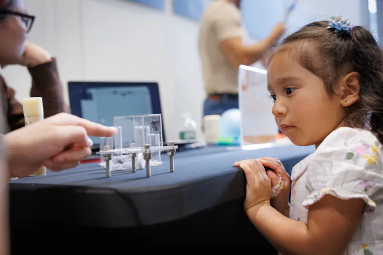Through interactive demonstrations, the session captured how spiders see the world. Photo credit: Sirin Samman